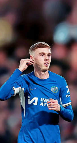 阿兰&middot;希勒与莱因克尔剖析帕尔默伤病困境