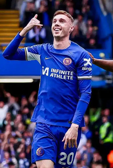 阿兰&middot;希勒与莱因克尔剖析帕尔默伤病困境